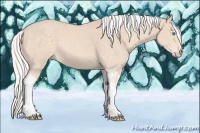 Horse Color:Silver Perlino Tobiano 