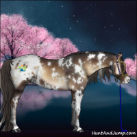 Horse Color:White Spotted Liver Red Onyx Varnish 