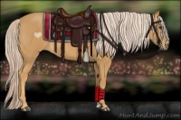 Horse Color:Palomino Roan 