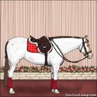 Horse Color:Amber Champagne Tobiano Appaloosa