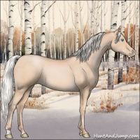 Horse Color:Silver Buckskin Pearl 
