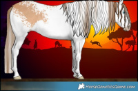 Horse Color:Gray White Spotted Perlino Splash 