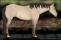 Horse Color:Sable Champagne Dun 