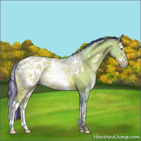 Horse Color:Watercolor White Spotted Sable Champagne Ice Splash Rabicano 
