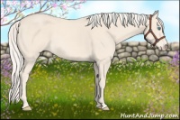 Horse Color:Cremello 