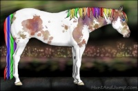 Horse Color:Painted Nacre Silver Brown Splash Tobiano Rabicano 