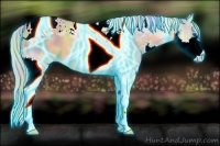 Horse Color:Nacre Thunderstruck Silver Bay Dun Splash Tobiano