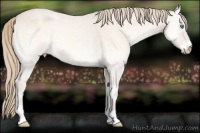 Horse Color:Perlino Roan Onyx 