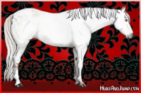 Horse Color:Gray Silver Amber Champagne Tobiano Varnish 