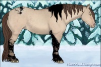 Horse Color:Void Amber Champagne Dun Tobiano Varnish Rabicano 