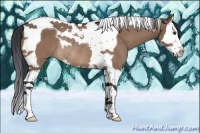 Horse Color:Brown Dun Splash Tobiano Rabicano 