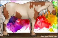Horse Color:Silver Buckskin and Silver Smoky Blue Roan Pearl