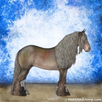 Horse Color:Liver Chestnut Mushroom Rabicano 