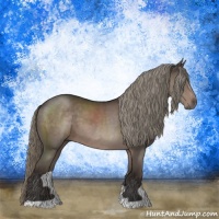 Horse Color:Liver Chestnut Mushroom 