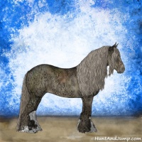 Horse Color:Chocolate Palomino Ice Mushroom Sabino Rabicano 