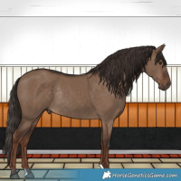 Horse Color:Liver Red Dun Rabicano 
