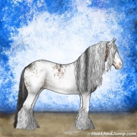 Horse Color:White Spotted Brown 