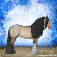 Horse Color:Brown Ice Dun Rabicano 