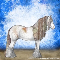 Horse Color:Nacre White Spotted Chestnut Splash Rabicano 