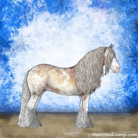 Horse Color:Silver Buckskin Ice Onyx Sabino Rabicano 