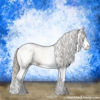 Horse Color:White Spotted Chocolate Palomino Onyx Sabino Splash Rabicano