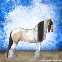 Horse Color:Buckskin Ice Dun Tobiano Rabicano 