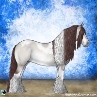 Horse Color:Chocolate Brown Chinchilla Roan Tobiano Rabicano 