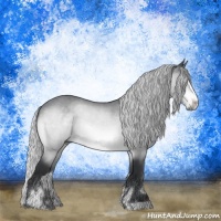 Horse Color:Silver Brown Chinchilla Sabino