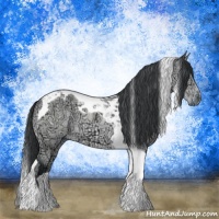 Horse Color:Bay Chinchilla Ice Tobiano
