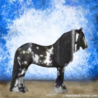 Horse Color:White Spotted Midnight Grullo Ice Sabino 