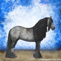 Horse Color:Black Ice Sabino Rabicano 