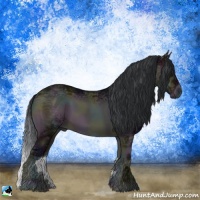Horse Color:Midnight Brown Ice Onyx Sabino