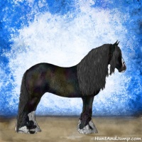 Horse Color:Midnight Blue Onyx Ice Sabino Rabicano
