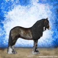 Horse Color:Brown Ice Onyx Sabino Rabicano