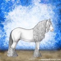 Horse Color:Black Sabino Rabicano