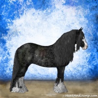 Horse Color:Black Ice Sabino Rabicano 