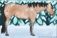 Horse Color:Bay Ice Roan 