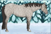 Horse Color:Amber Champagne Ice Roan Dun 