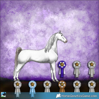 Horse Color:Blue Onyx Sabino Blanket Rabicano 