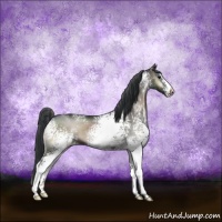 Horse Color:White Spotted Blue Onyx Sabino Snowflake Varnish 