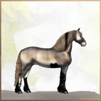 Horse Color:Void Plaid Liver Red Onyx Tobiano