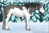 Horse Color:Grullo Splash Frame 