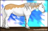 Horse Color:Silver Buckskin Roan Splash 