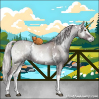 Horse Color:White Spotted Chocolate Silver Grullo Chinchilla Ice Onyx Brindle 