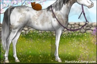 Horse Color:White Spotted Liver Red Dun Ice Splash Rabicano Brindle 