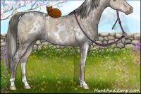 Horse Color:White Spotted Liver Red Dun Ice Mushroom Rabicano