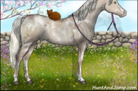 Horse Color:White Spotted Liver Red Dun Ice Pearl Mushroom 