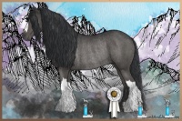 Horse Color:Black Rabicano 