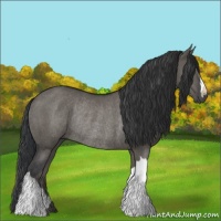 Horse Color:Grullo Rabicano 