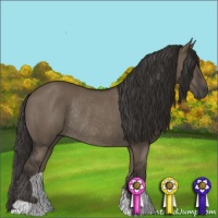 Horse Color:Smoky Grullo Rabicano 